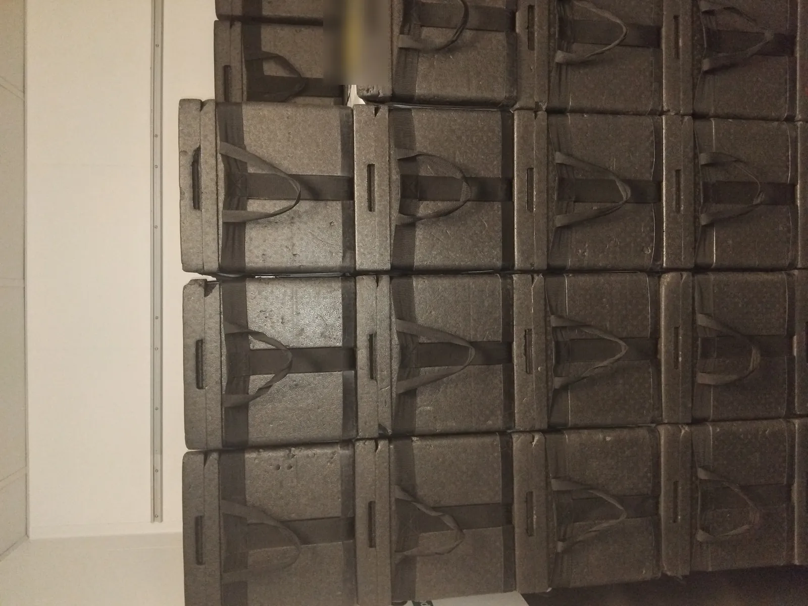 Insulated thermal transport boxes used by Red Eagle Logistics for temperature-controlled biological sample transport