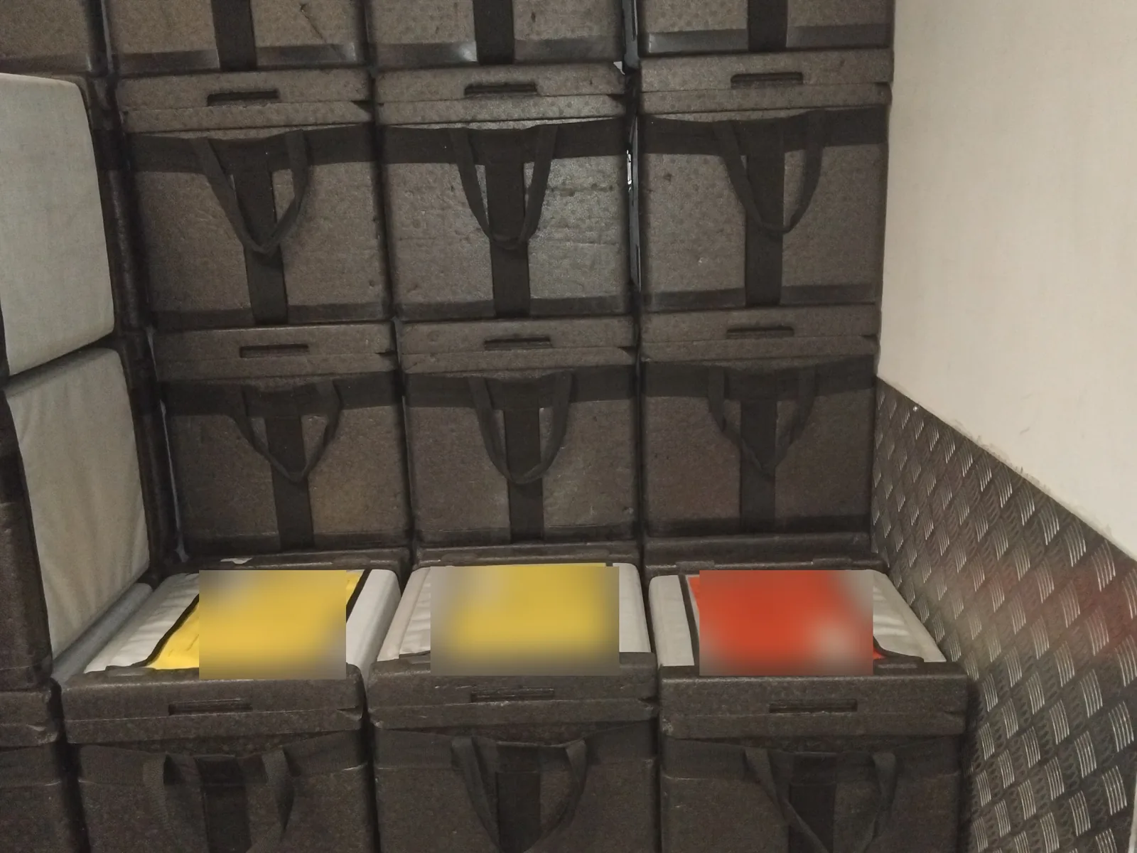 Red Eagle Logistics courier van loaded with insulated boxes for temperature-controlled cold-chain delivery